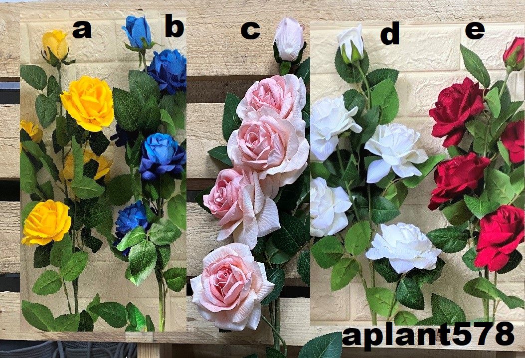 Aplant578 5