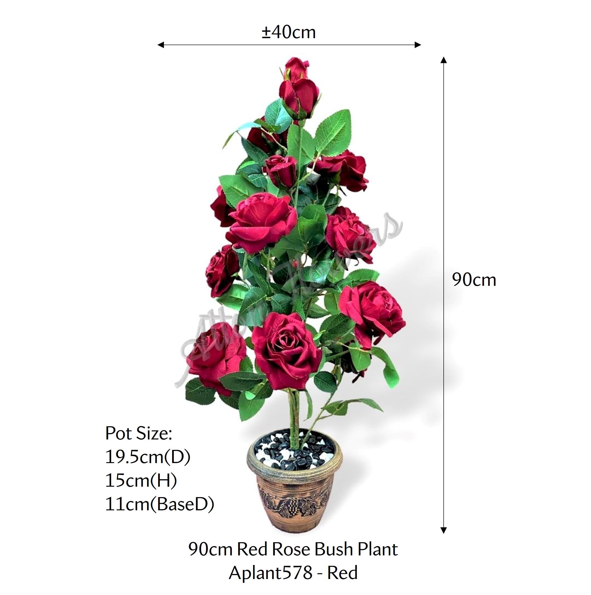 Aplant578 red mea 2
