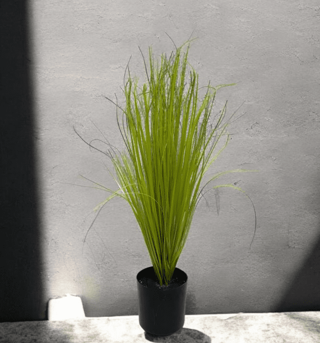 62cm Onion Grass Artificial Aplant582