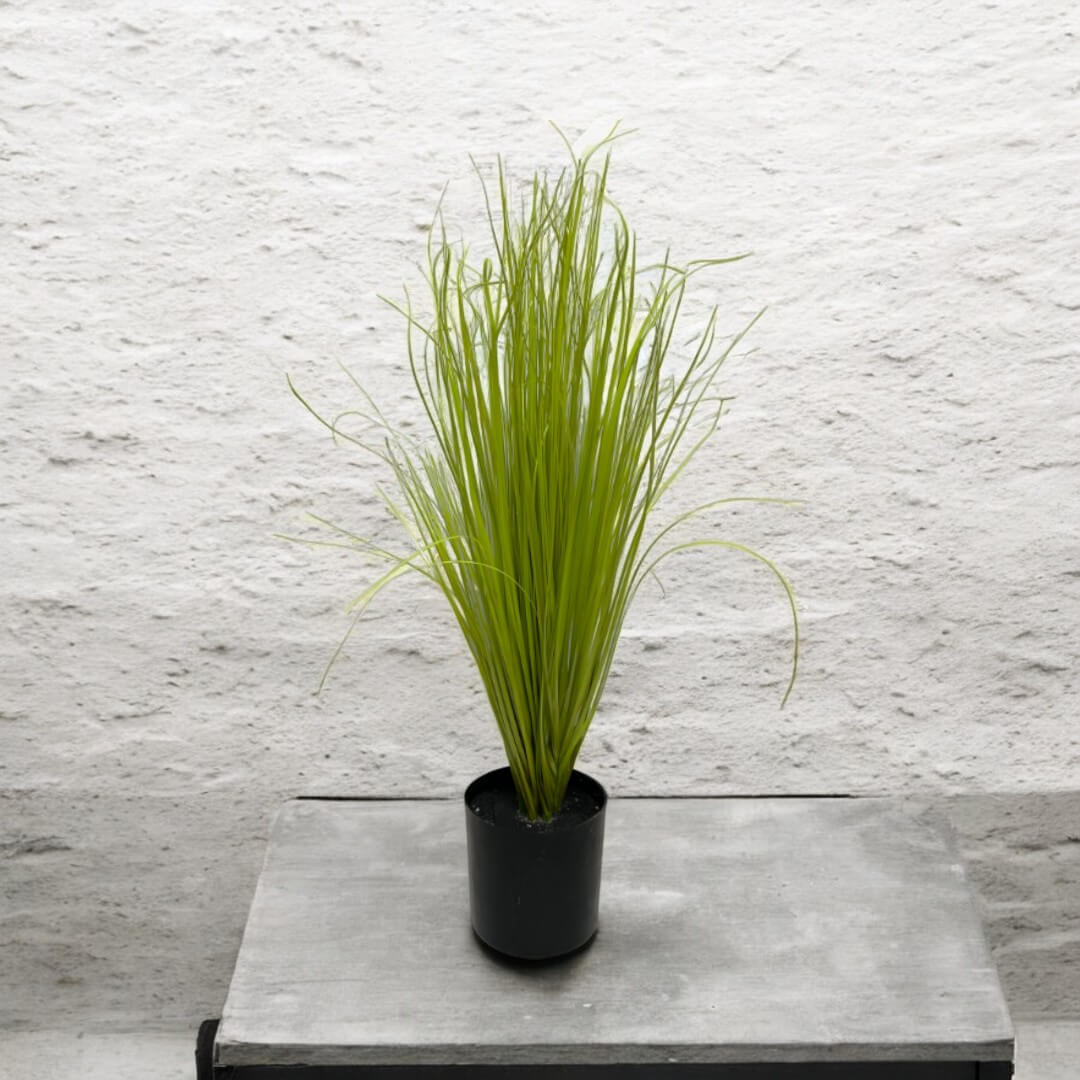62cm Onion Grass Artificial Aplant582 - Alton Flowers
