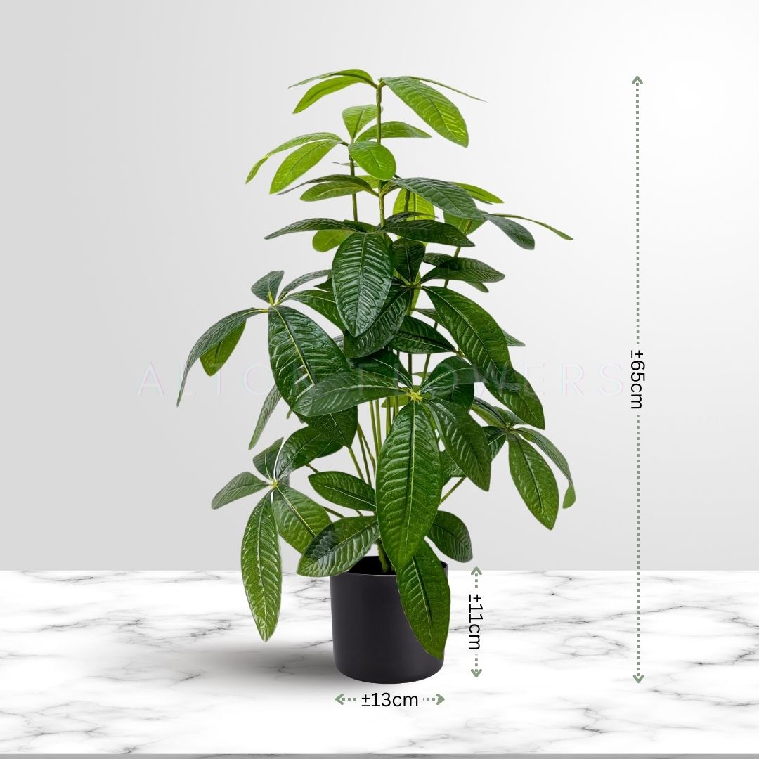 65cm Scheffera Plant (Fortune Tree) Artificial Aplant585
