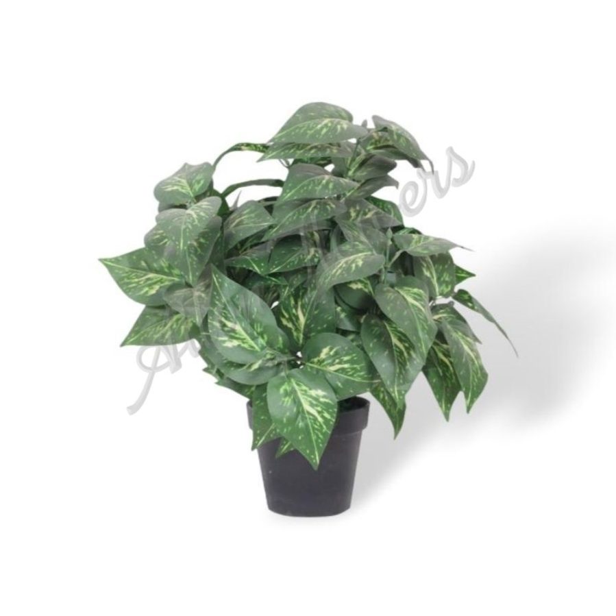 Aplant588 2 e1654064293919