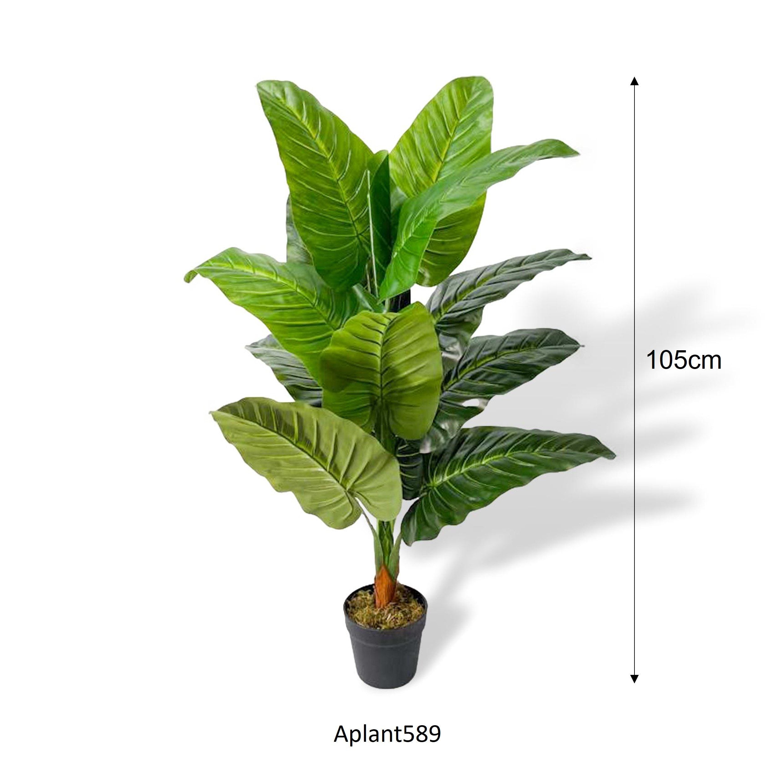 Aplant589 measurement