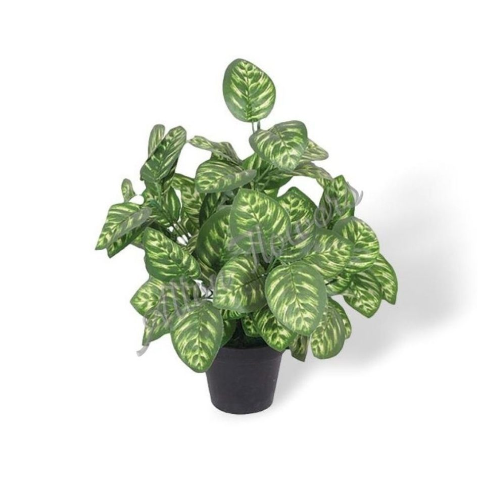 Aplant591 2 e1654063167963