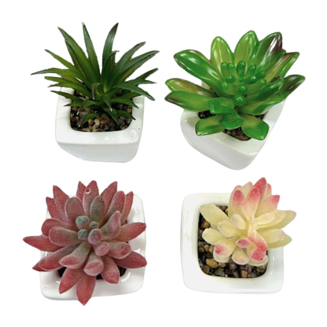 5cm-10cm Cactus cutie succulent artificial with ceramic pot Aplant605