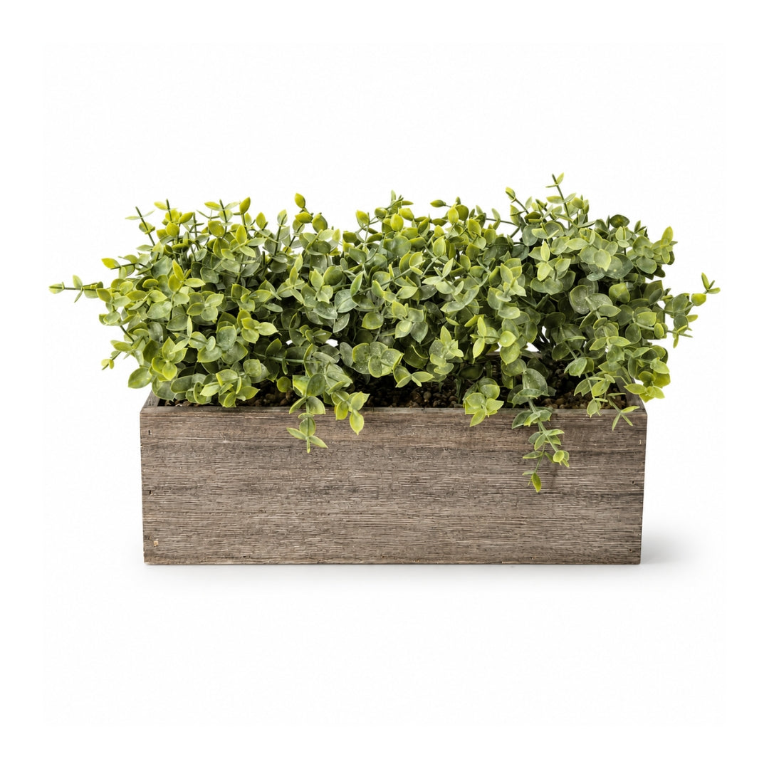 Artificial eucalyptus plant in a wooden rectangular pot, tabletop greenery arrangement by Alton Flowers.