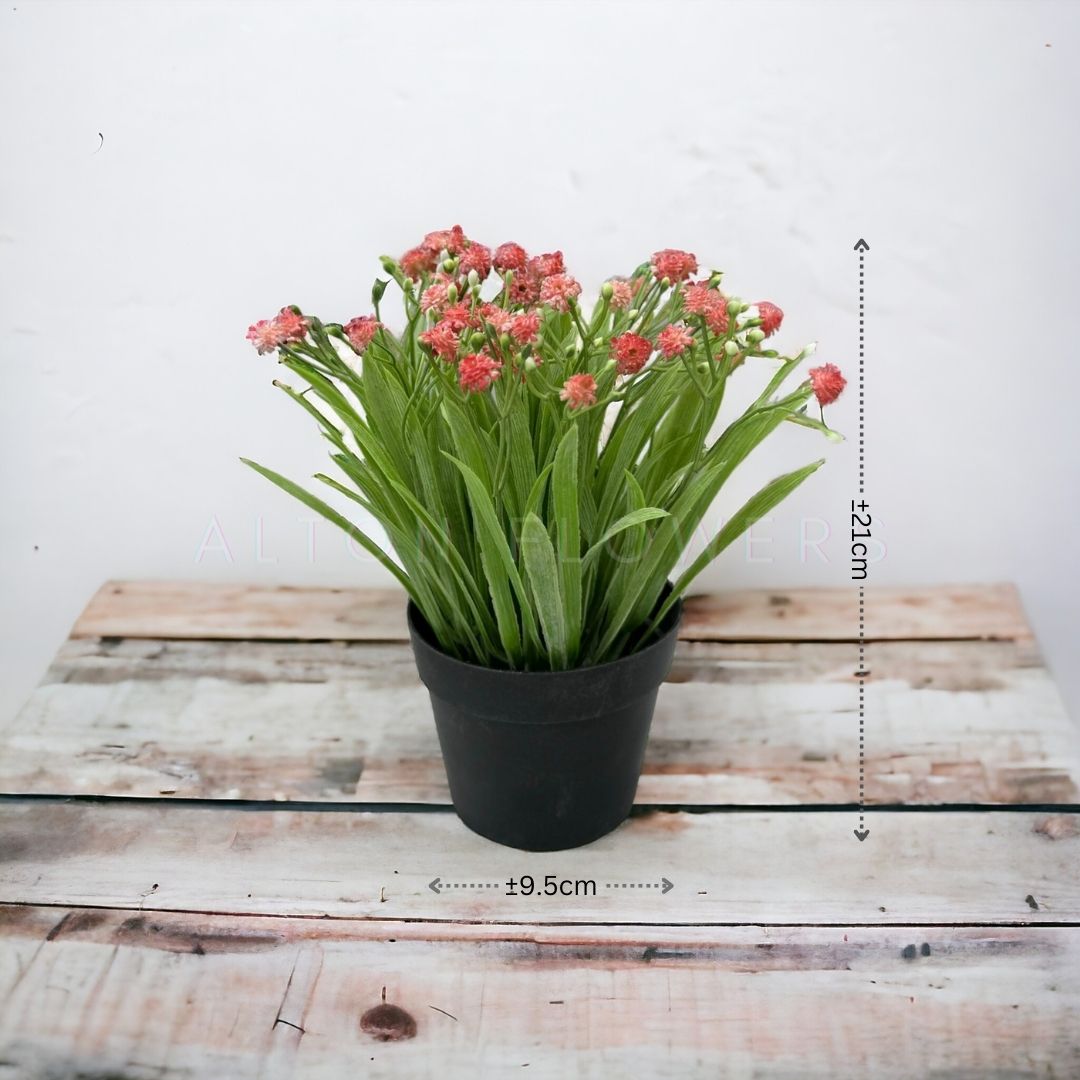 21cm Flower Wild Gypsos with Pot Artificial Aplant609