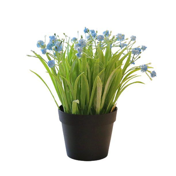Aplant609 blue