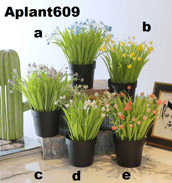 Aplant609