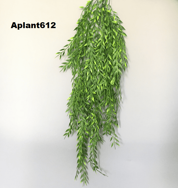 Aplant612