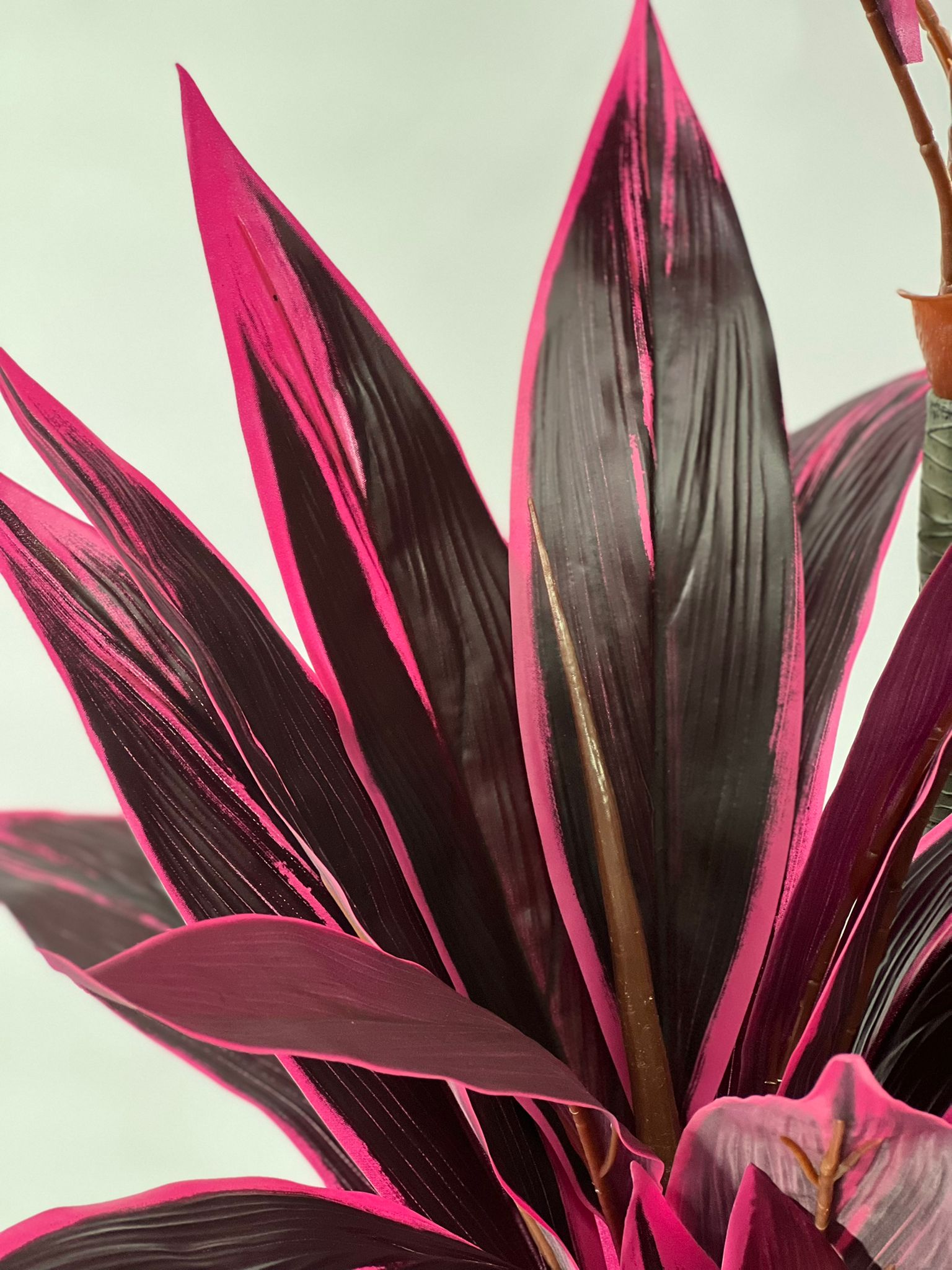 150cm Artificial Plant Cordyline, garden, home decor, flowers, events Aplant616b3