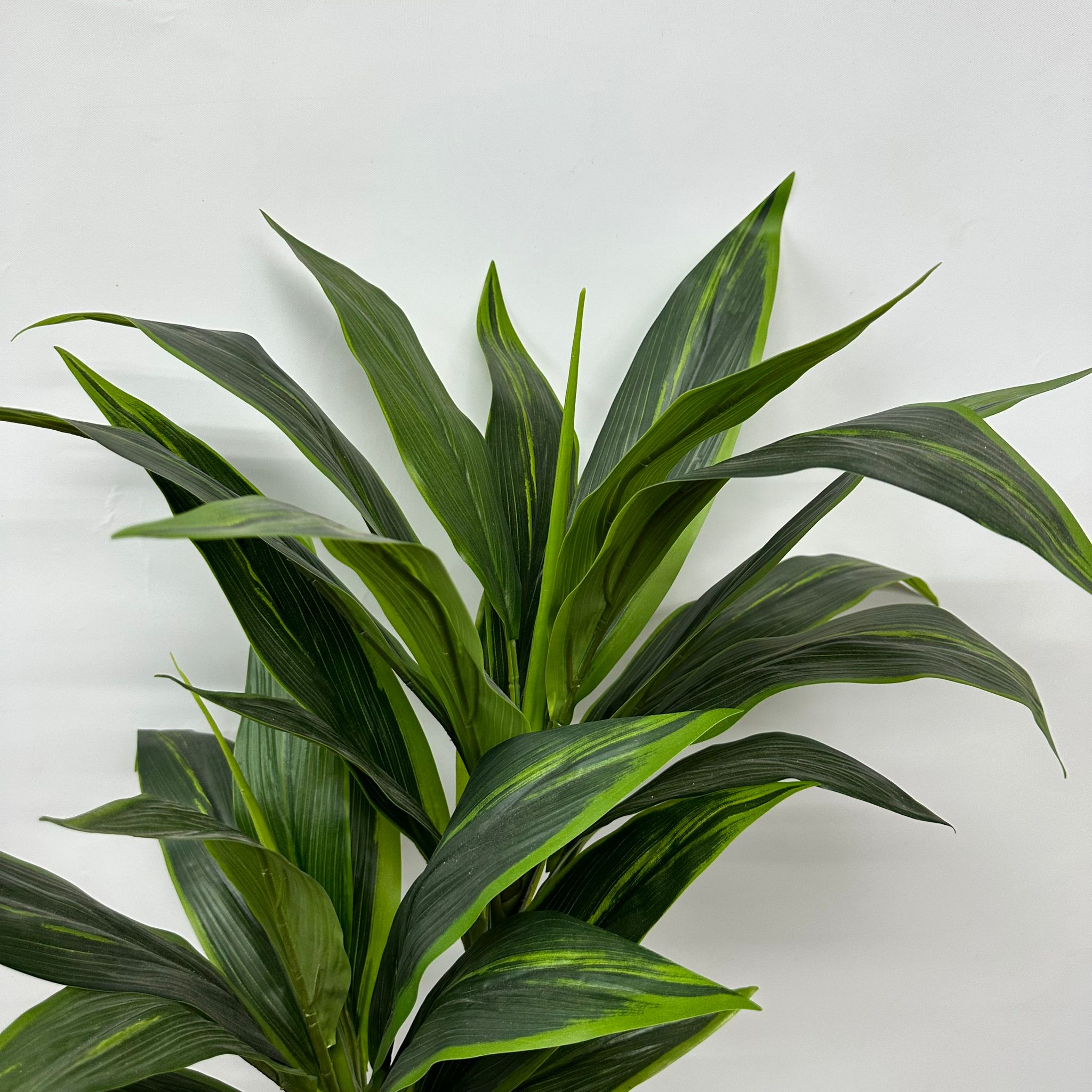120cm Artificial Plant Cordyline (Snow White) Plant x2, home decor, office. Aplant616x2-120cm