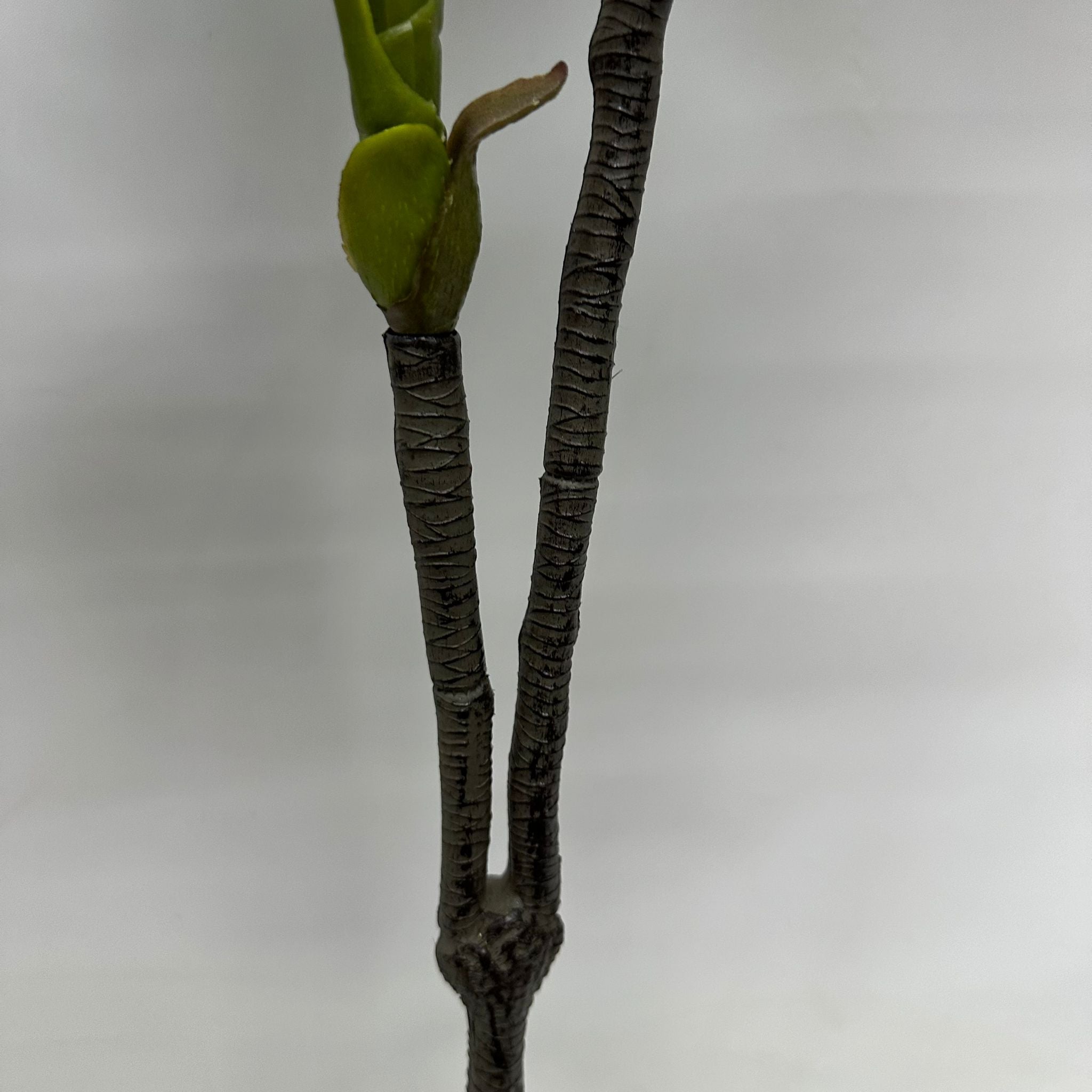 120cm Artificial Plant Cordyline (Snow White) Plant x2, home decor, office. Aplant616x2-120cm