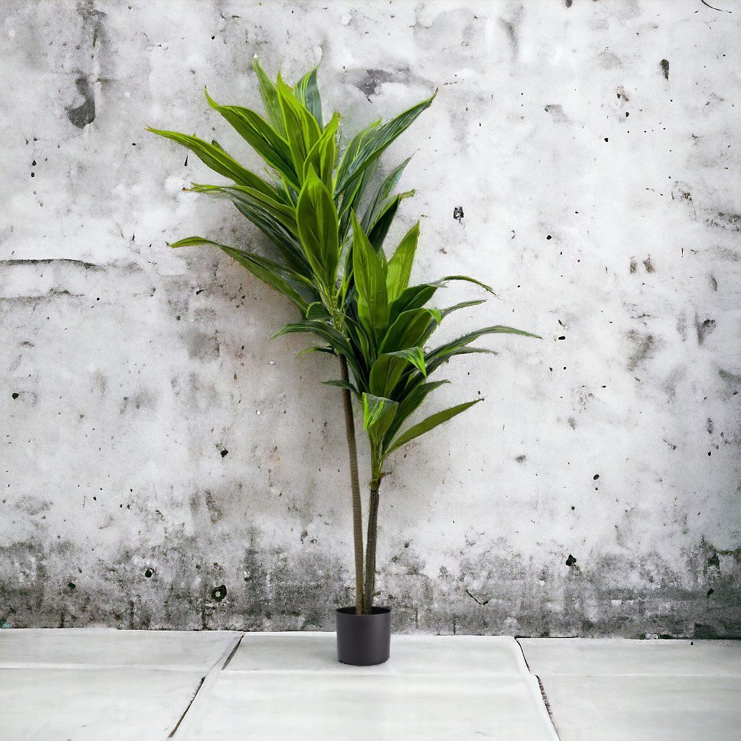 140cm Artificial Plant Cordyline (Snow White) Plant x2, home decor, office Aplant616x2-140cm