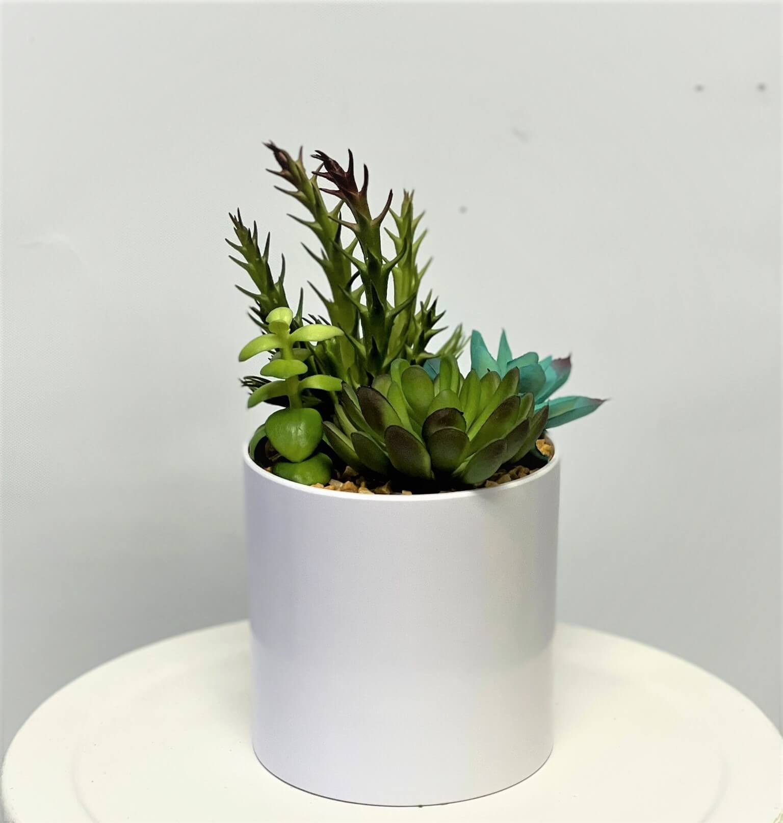 Artificial 12cm succulent plant from Alton Flowers, ideal for indoor office and house decor, featuring mixed succulent varieties.