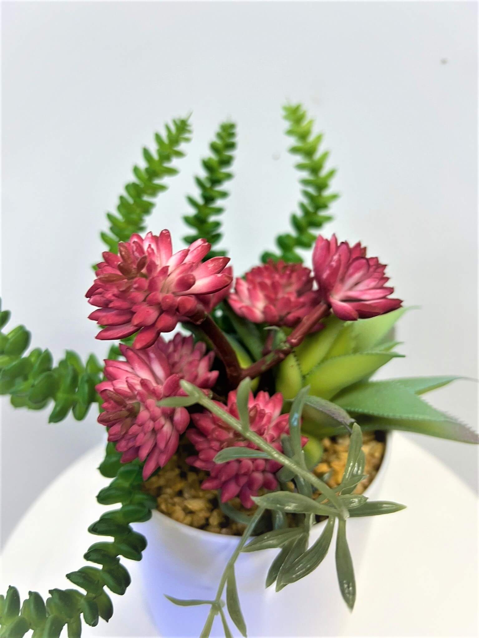 Artificial succulent plant in 22cm pot by Alton Flowers, ideal for indoor, office, and home decor with mixed greenery.