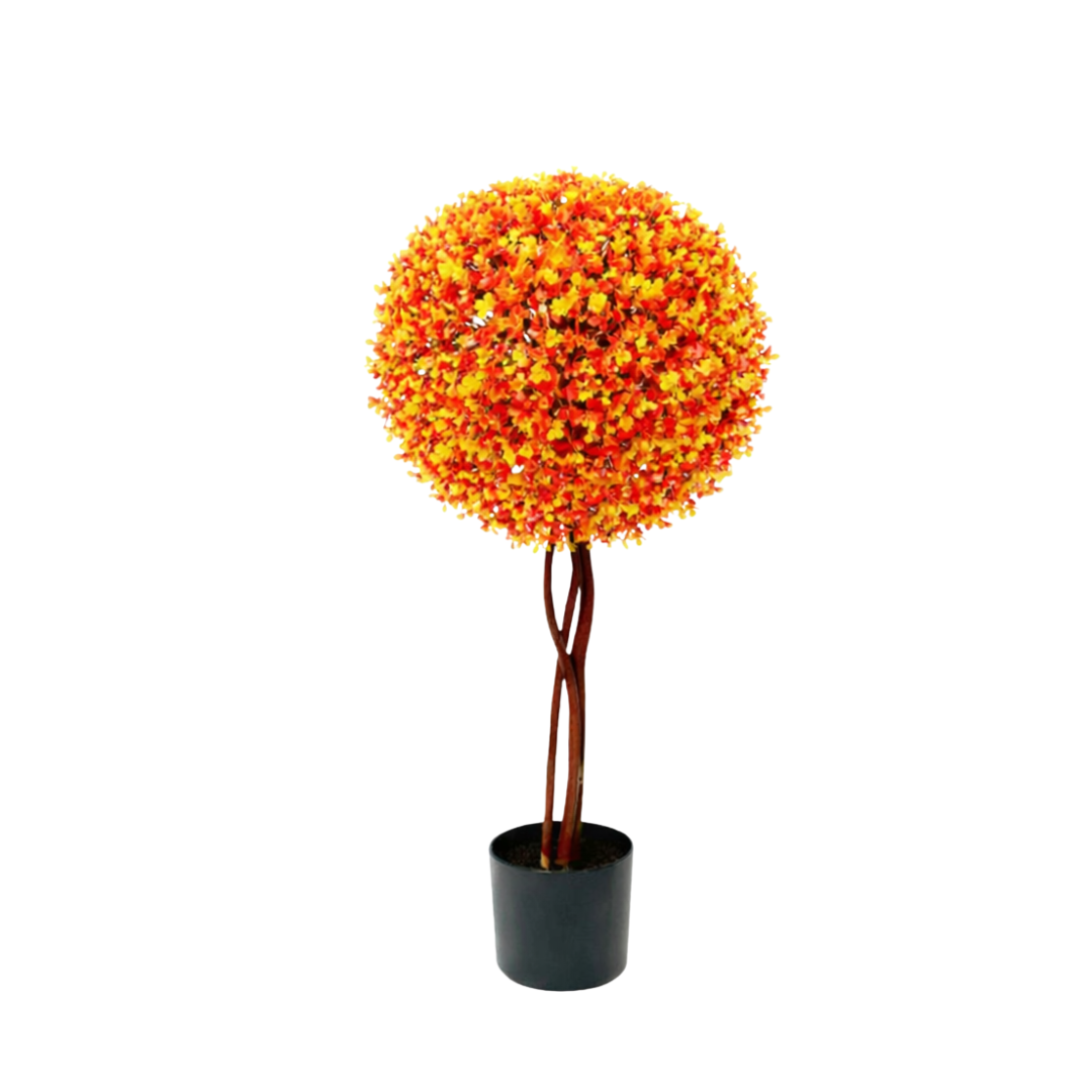 80cm Single Boxwood Topiary Ball Plant