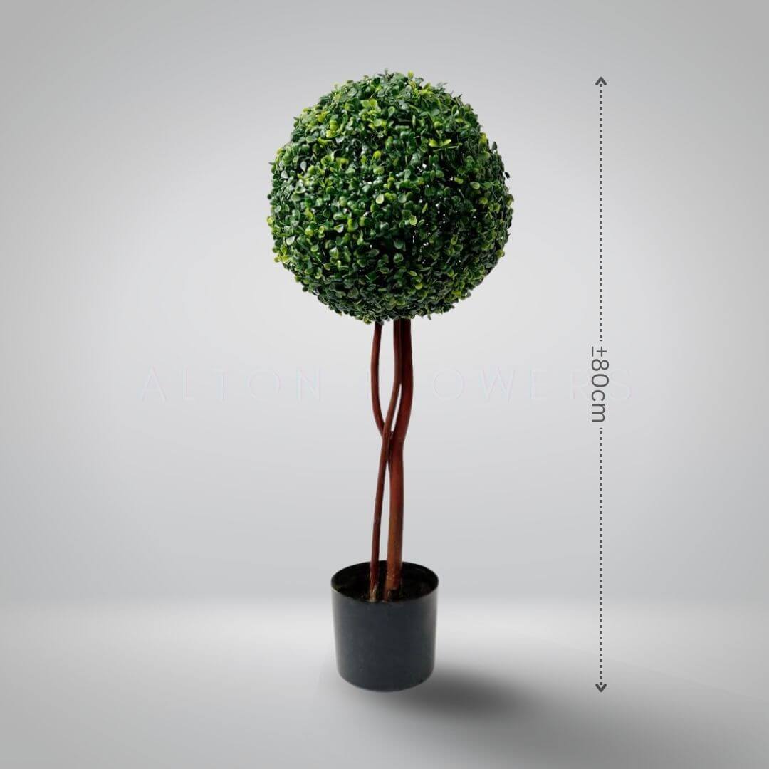 80cm Artificial Braided Boxwood Topiary Tree | Potted Faux Lollipop Ball Standard