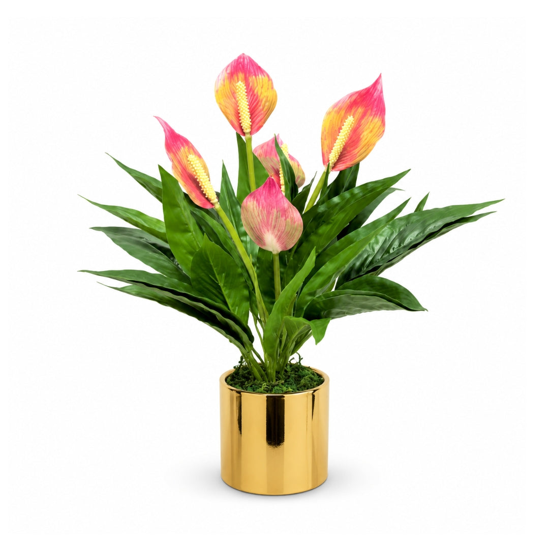Artificial peace lily plant with pink blooms and green foliage in a gold ceramic pot on white background