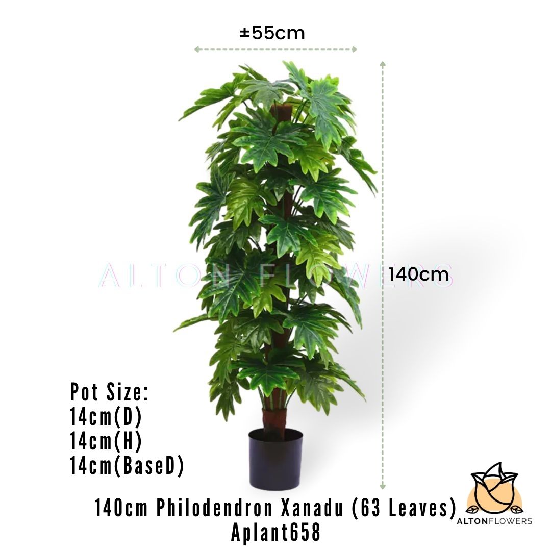 Aplant658 mea