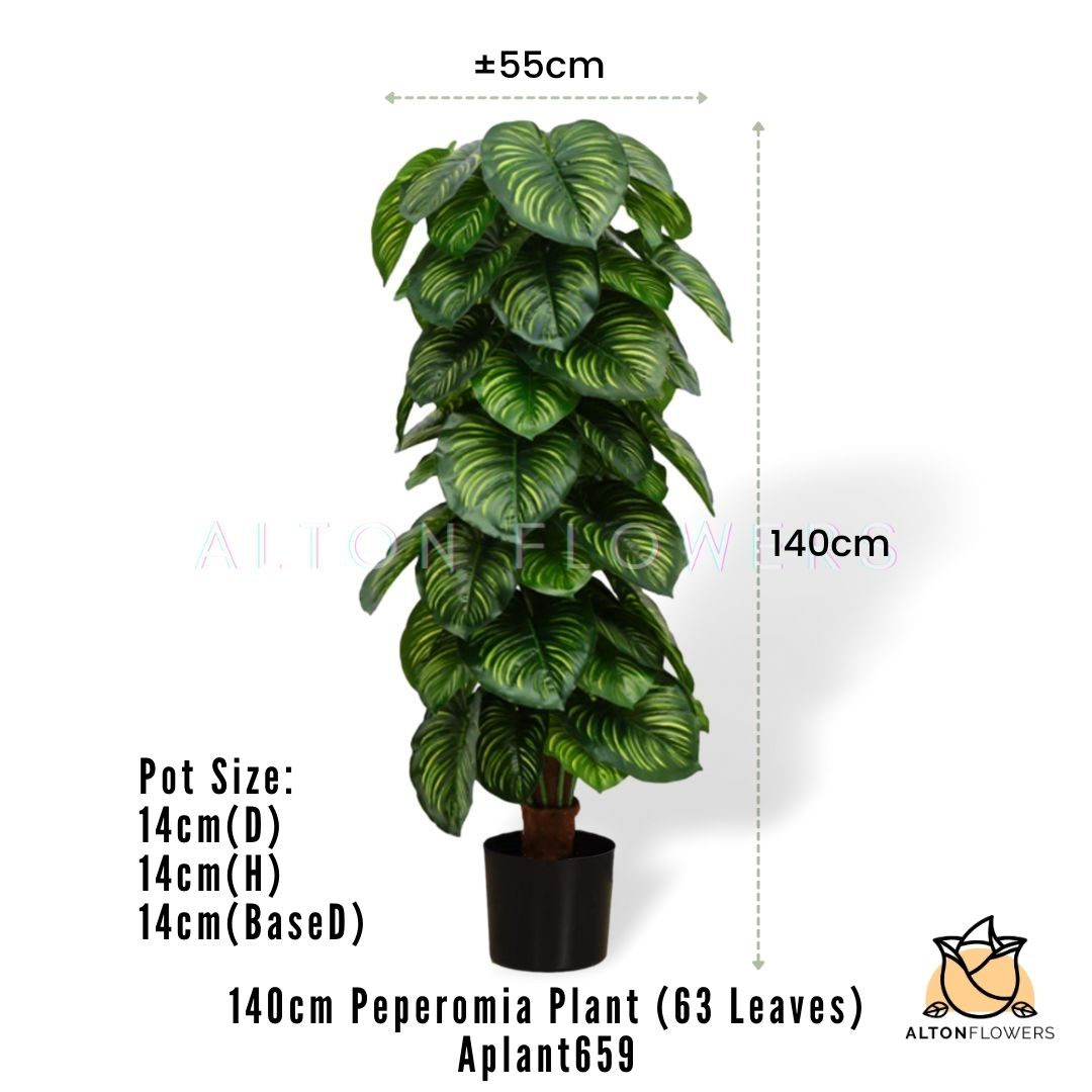 Aplant659 mea