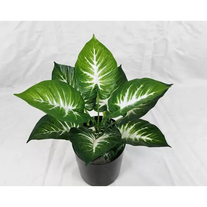 Artificial Caladium, Alocasia, or "Comigo Ninguém Pode" plant featuring large green leaves with prominent white central veins and splashes of lighter green, typically used as an indoor decorative faux plant.