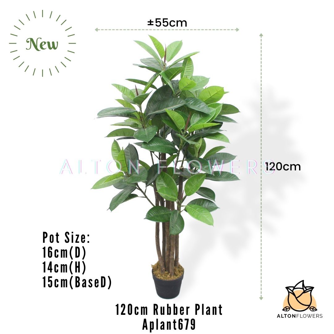Aplant679 mea 1