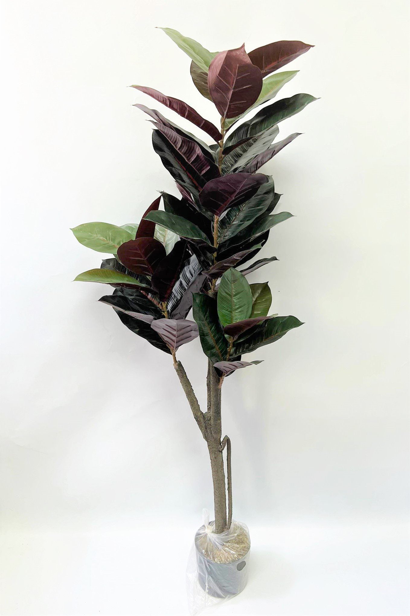 150cm Plant Artificial Black Rubber Elastica,home decor, garden,events.Aplant681