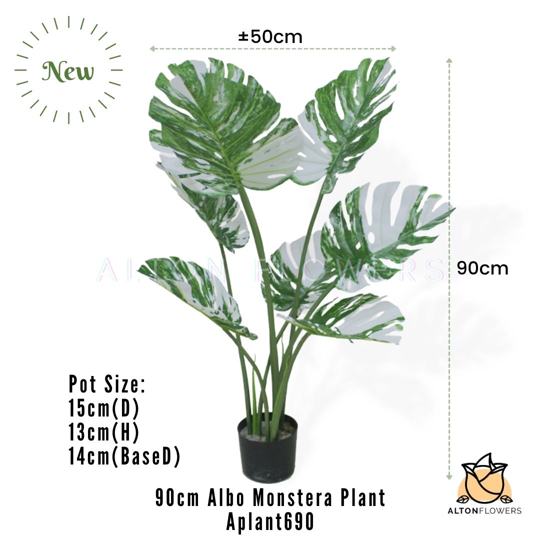 Aplant690 mea 2