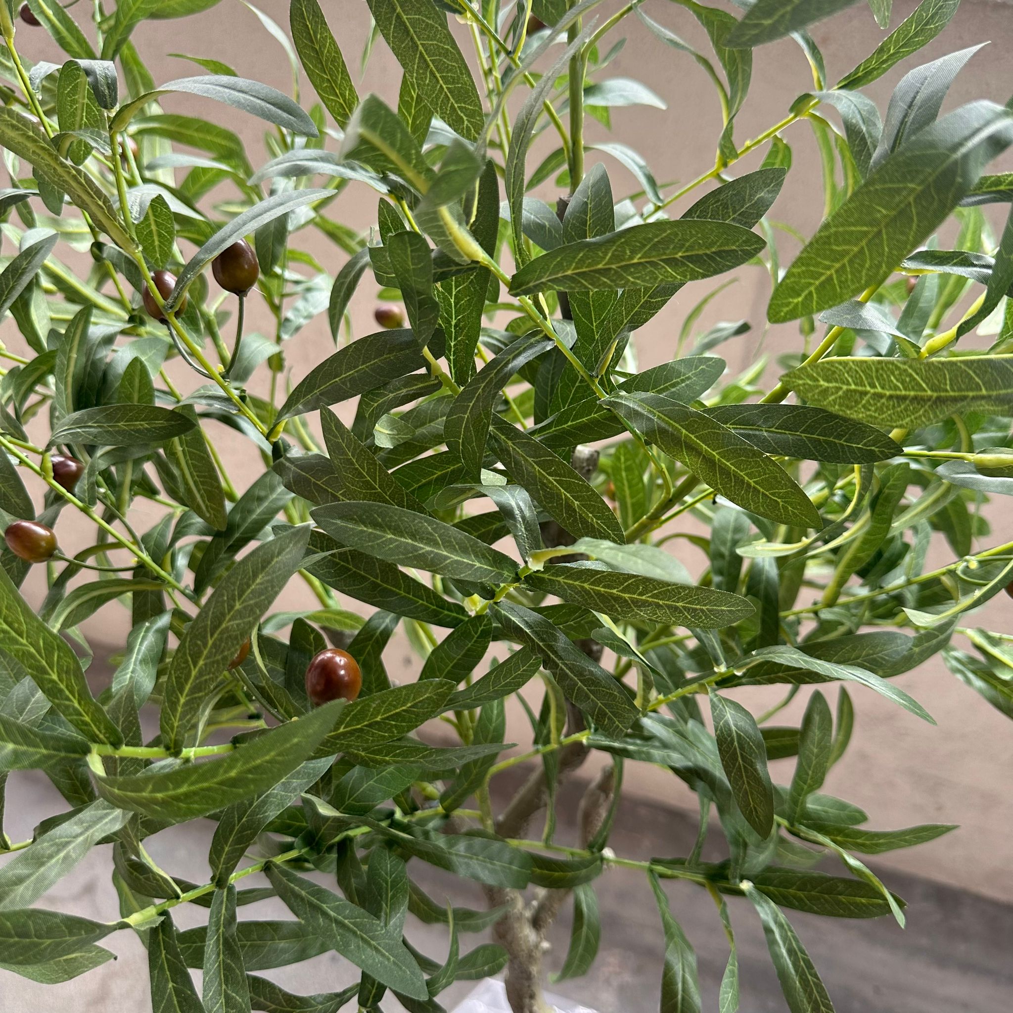 170cm Plant Artificial Olive Tree, home decor, office, garden, events. Aplant697