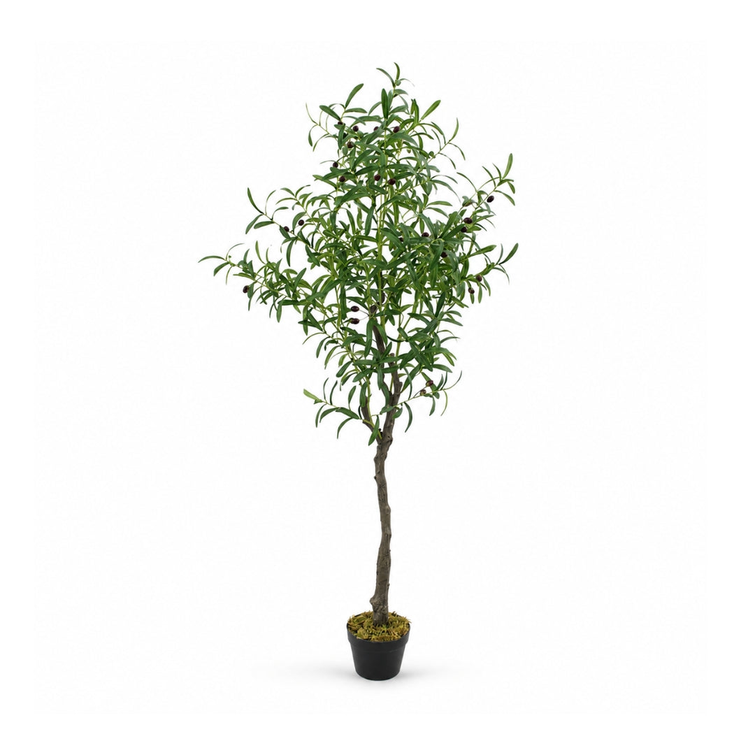 Artificial olive tree plant, 170cm tall, realistic minimalist decor by Alton Flowers, with lush green leaves in a stylish container.
