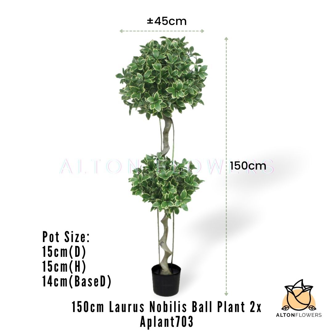 Aplant703 mea