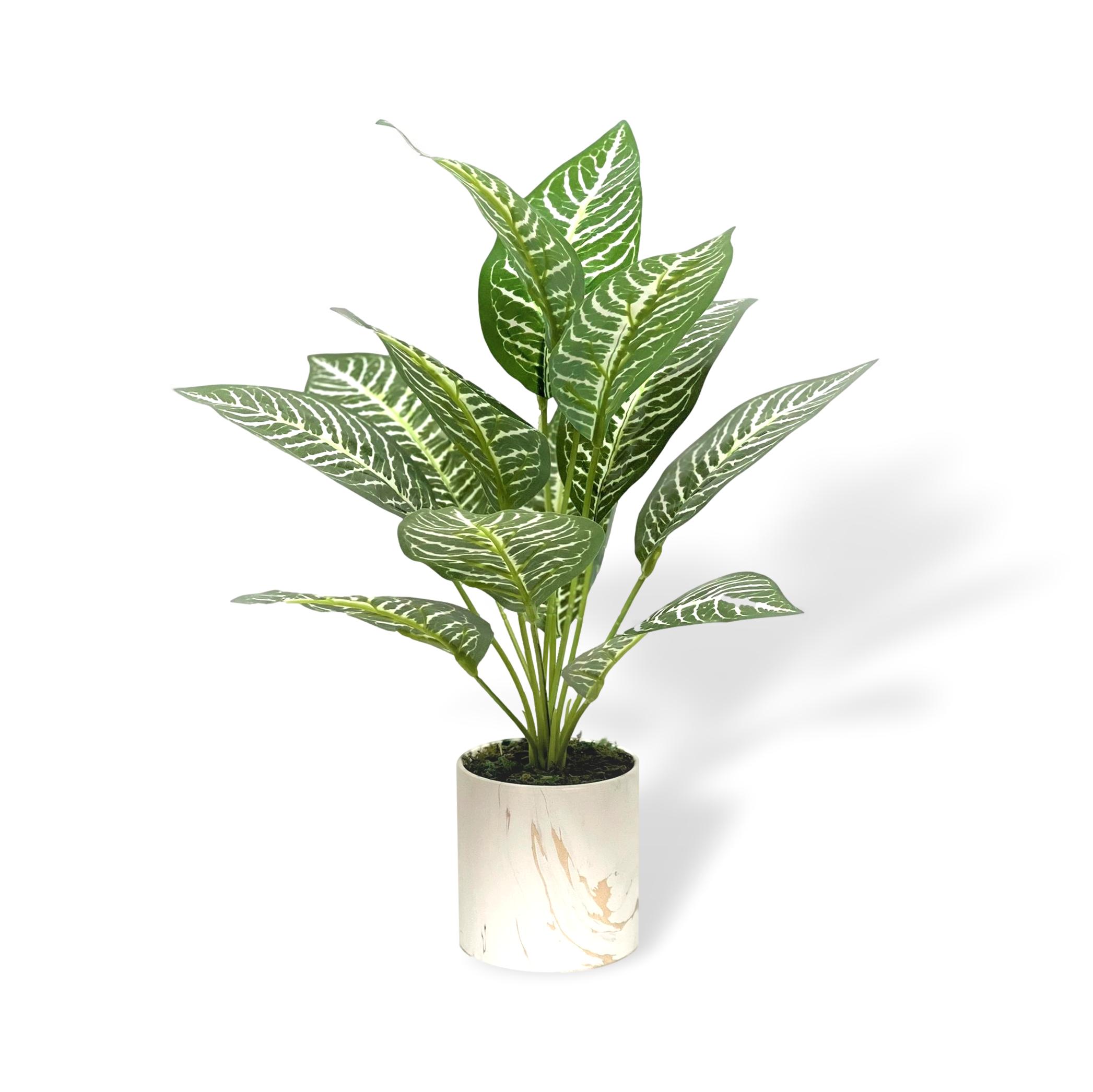 Aplant712 2 clipped rev 1