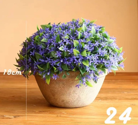 12cm potted Cordyceps sinensis plant in a decorative pot, from Alton Flowers, featuring lush green foliage and healthy growth.
