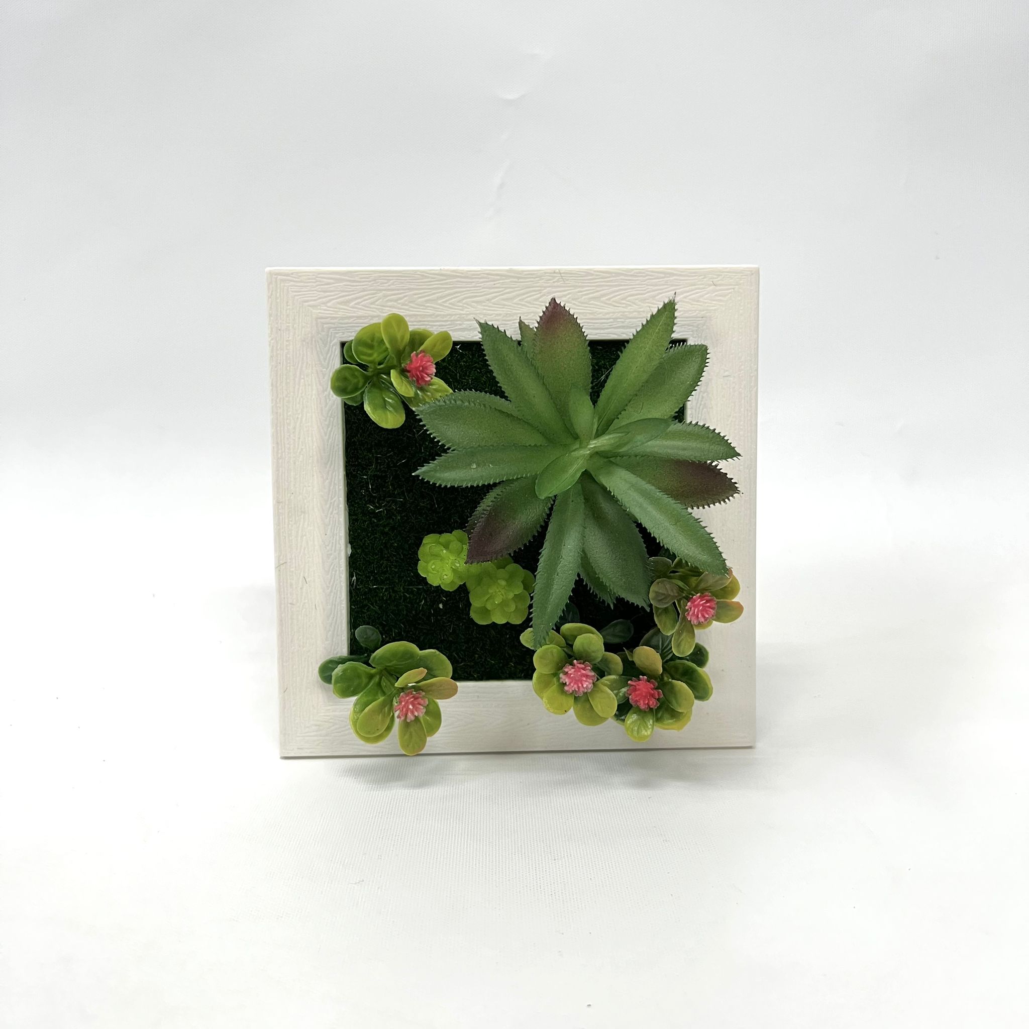 Plant Artificial Succulent in a picture frame, home decor, office Aplant756