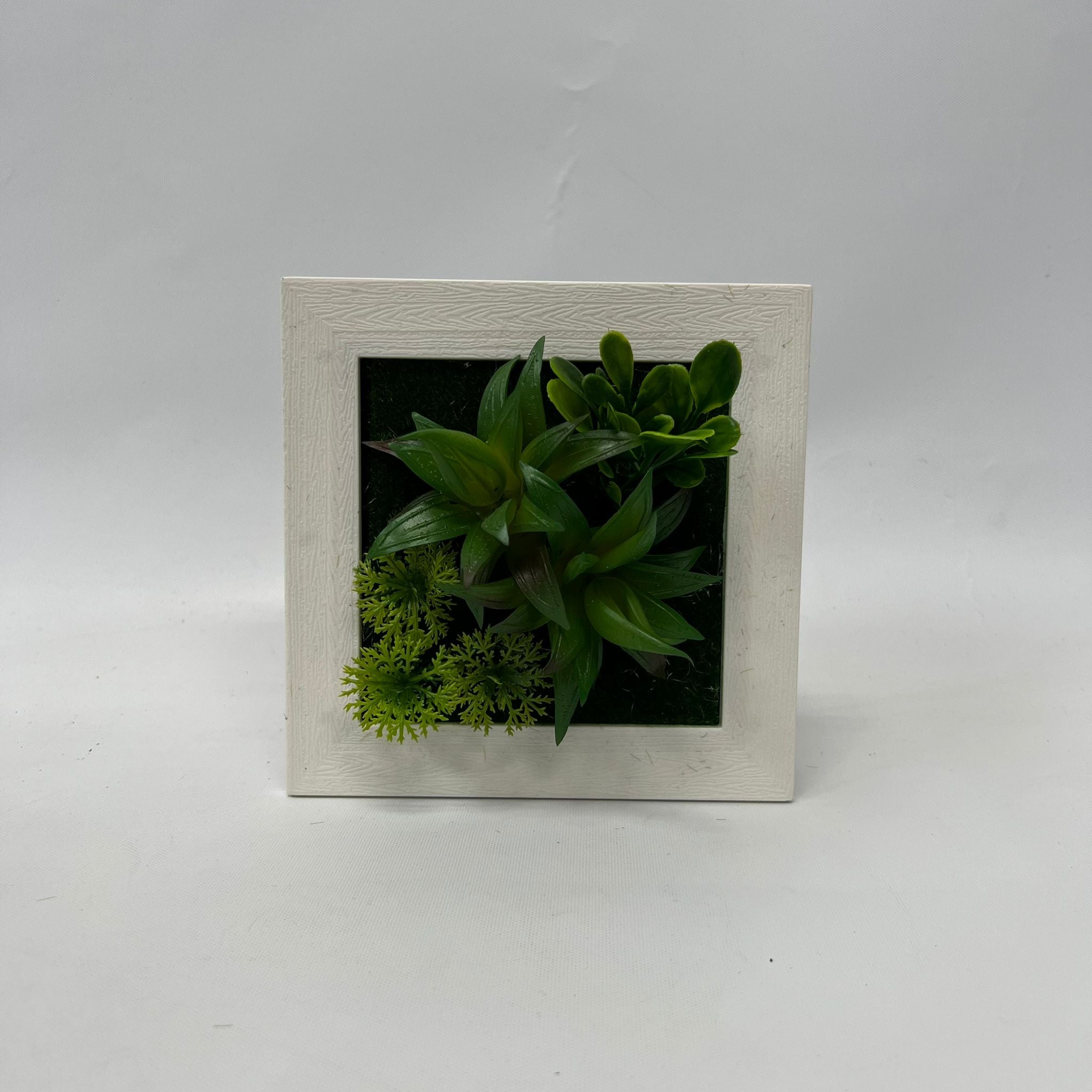 Plant Artificial Succulent in a picture frame, home decor, office Aplant756