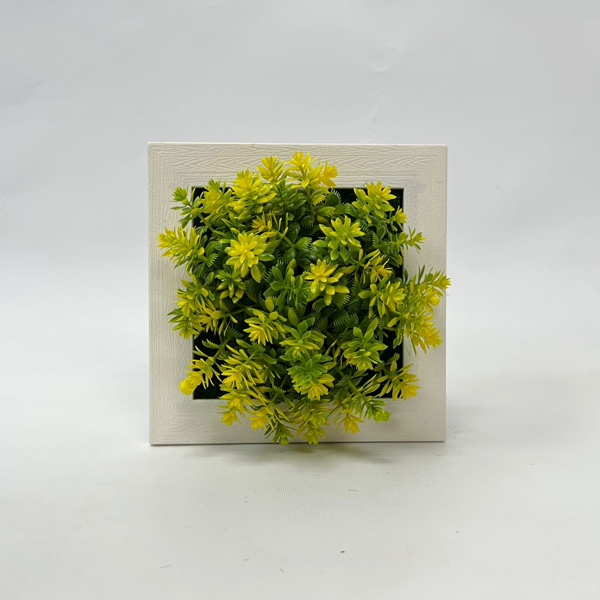 Plant Artificial Succulent in a picture frame, home decor, office Aplant756