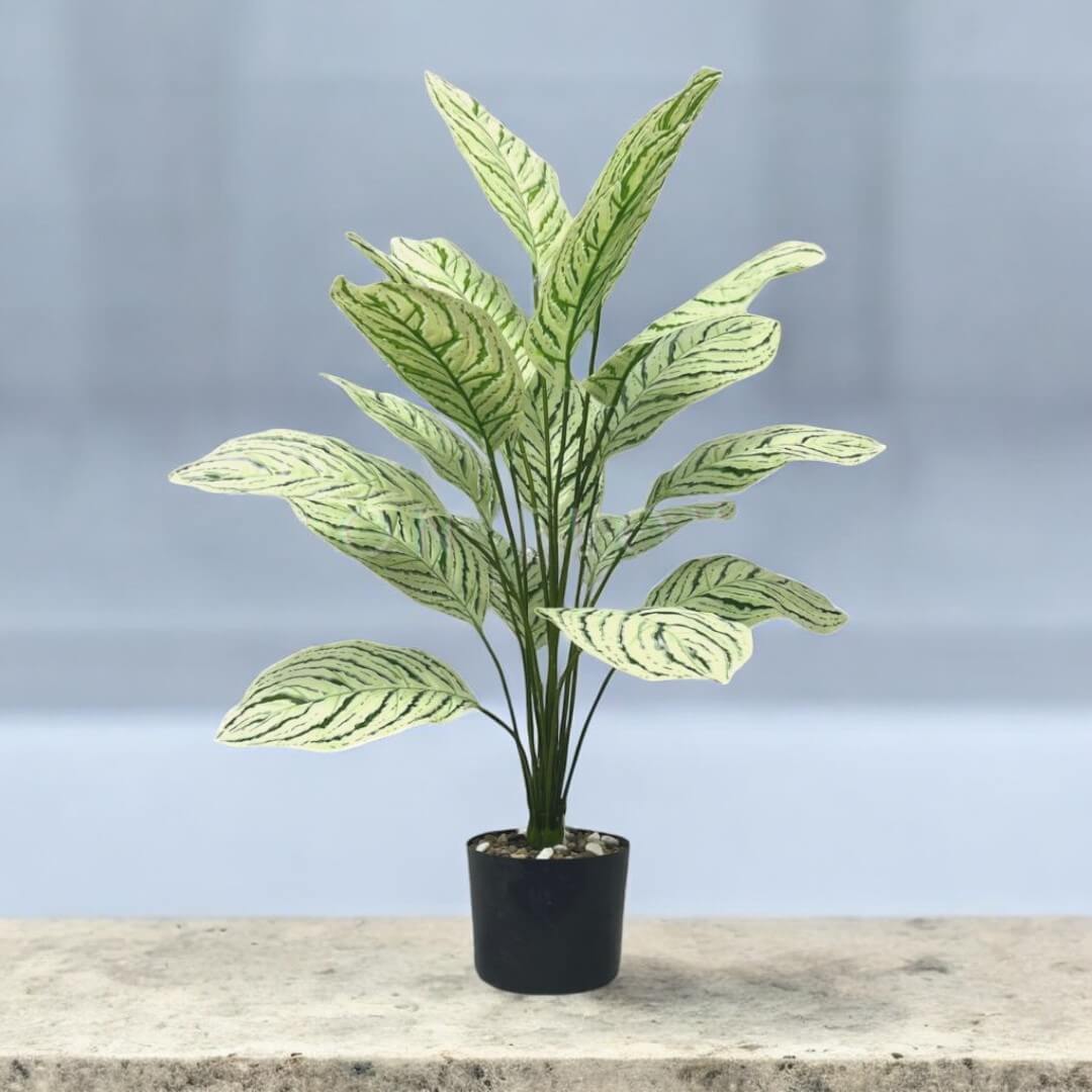80cm Artificial Aglaonema "Silver Queen" with 18 Leaves - Perfect for Home Decor and Events Aplant759