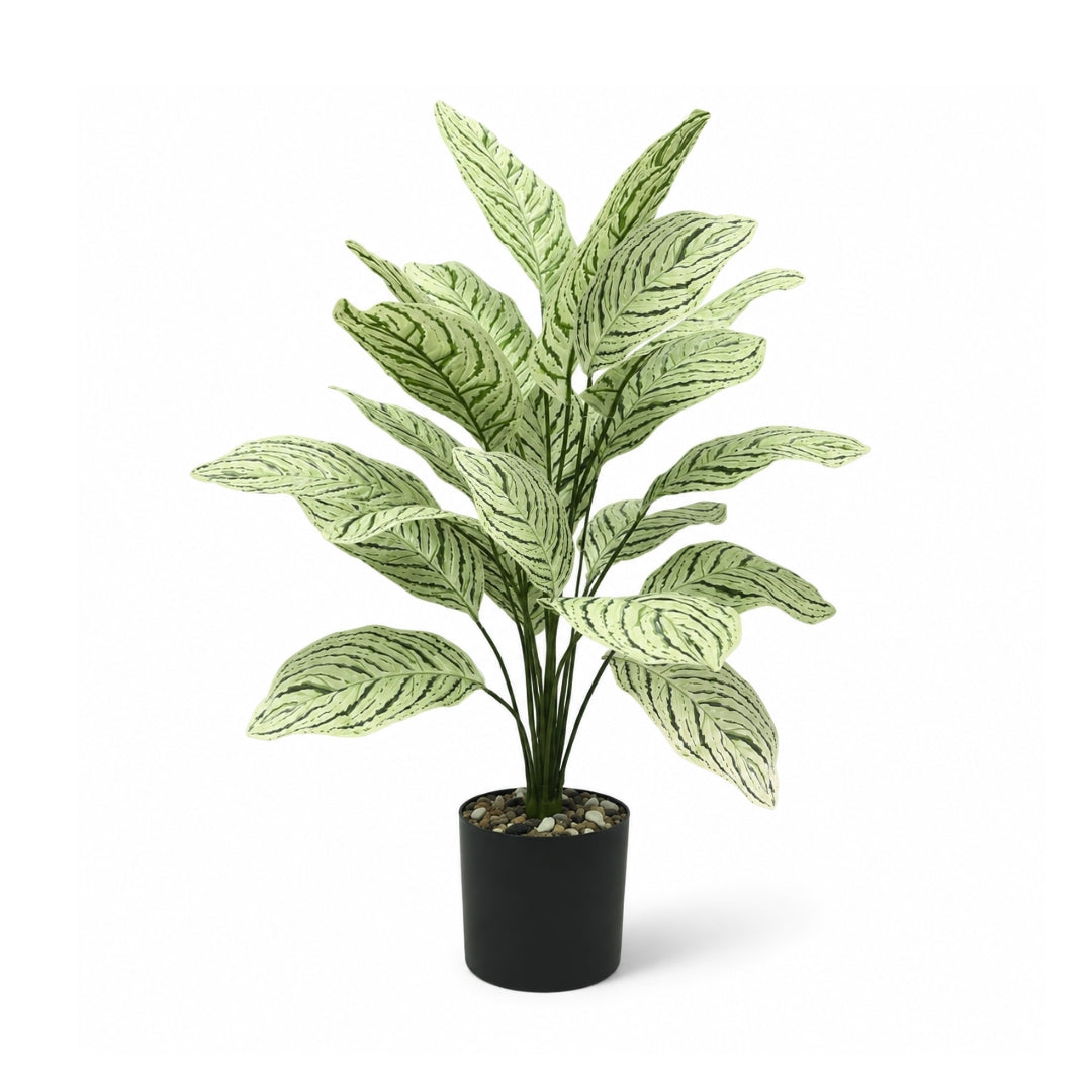 80cm artificial aglaonema silver queen plant featuring 18 variegated green and silver chinese evergreen leaves in a black pot by Alton Flowers Singapore