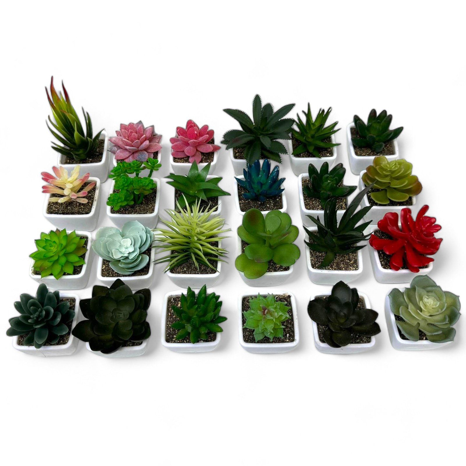 Artificial Succulent Plant in Pot