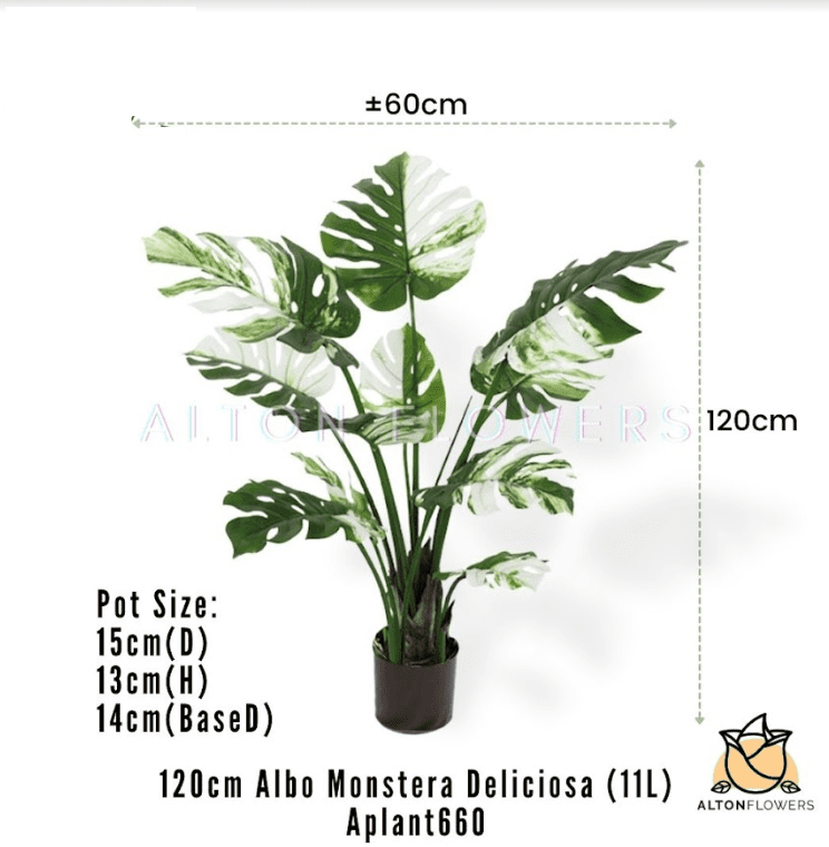 Aplant803 3 pic of aplant660