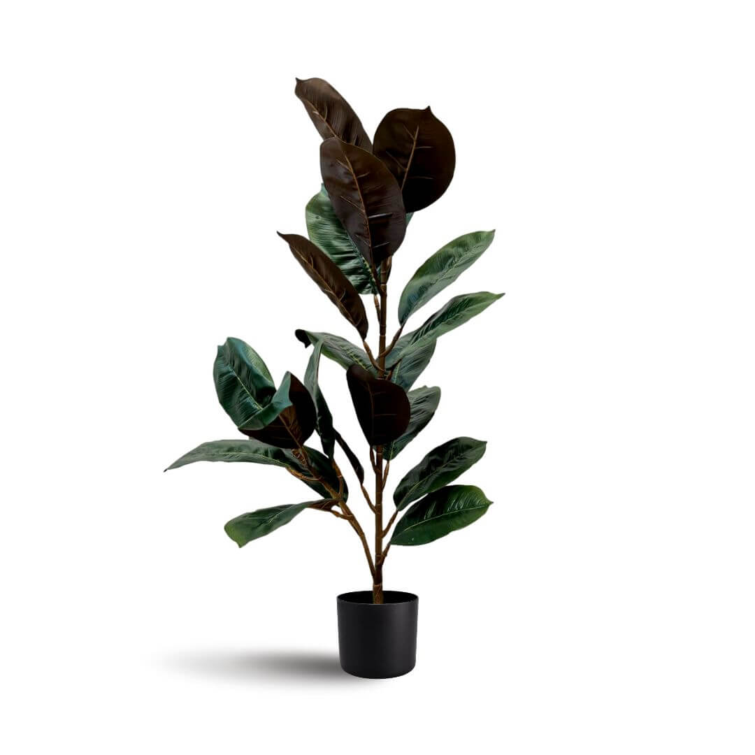 80cm Plant Artificial Variegated Ficus Elastica, home decor, garden, events Aplant837