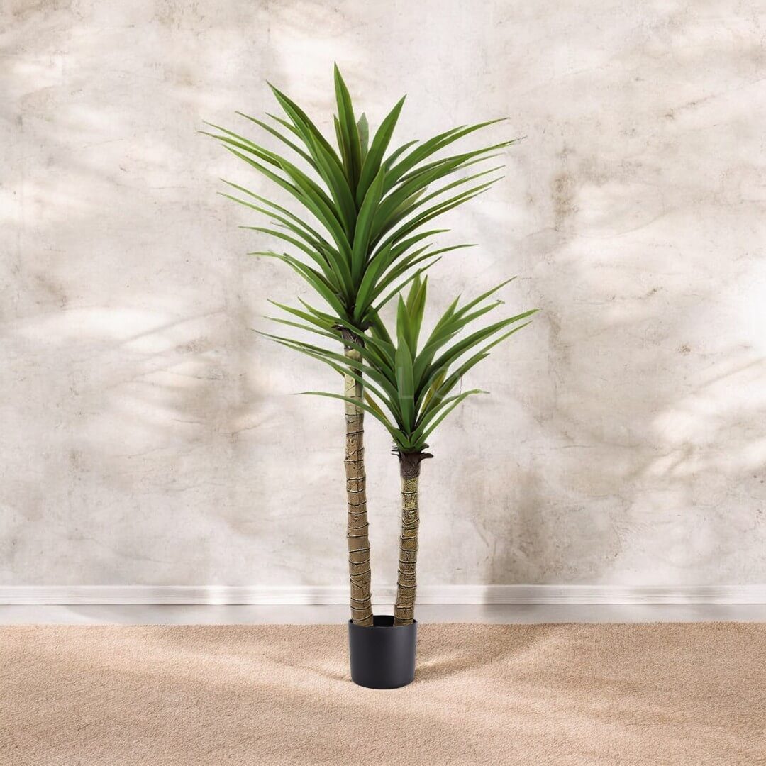 170cm Ariticial Plant Yuacca x2 heads faux plant, fake, home decor, events Aplant848