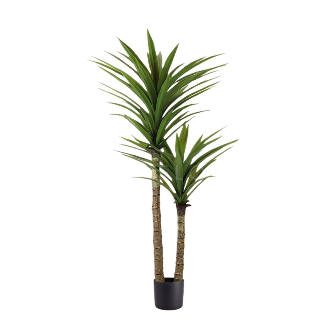 170cm Ariticial Plant Yuacca x2 heads faux plant, fake, home decor, events