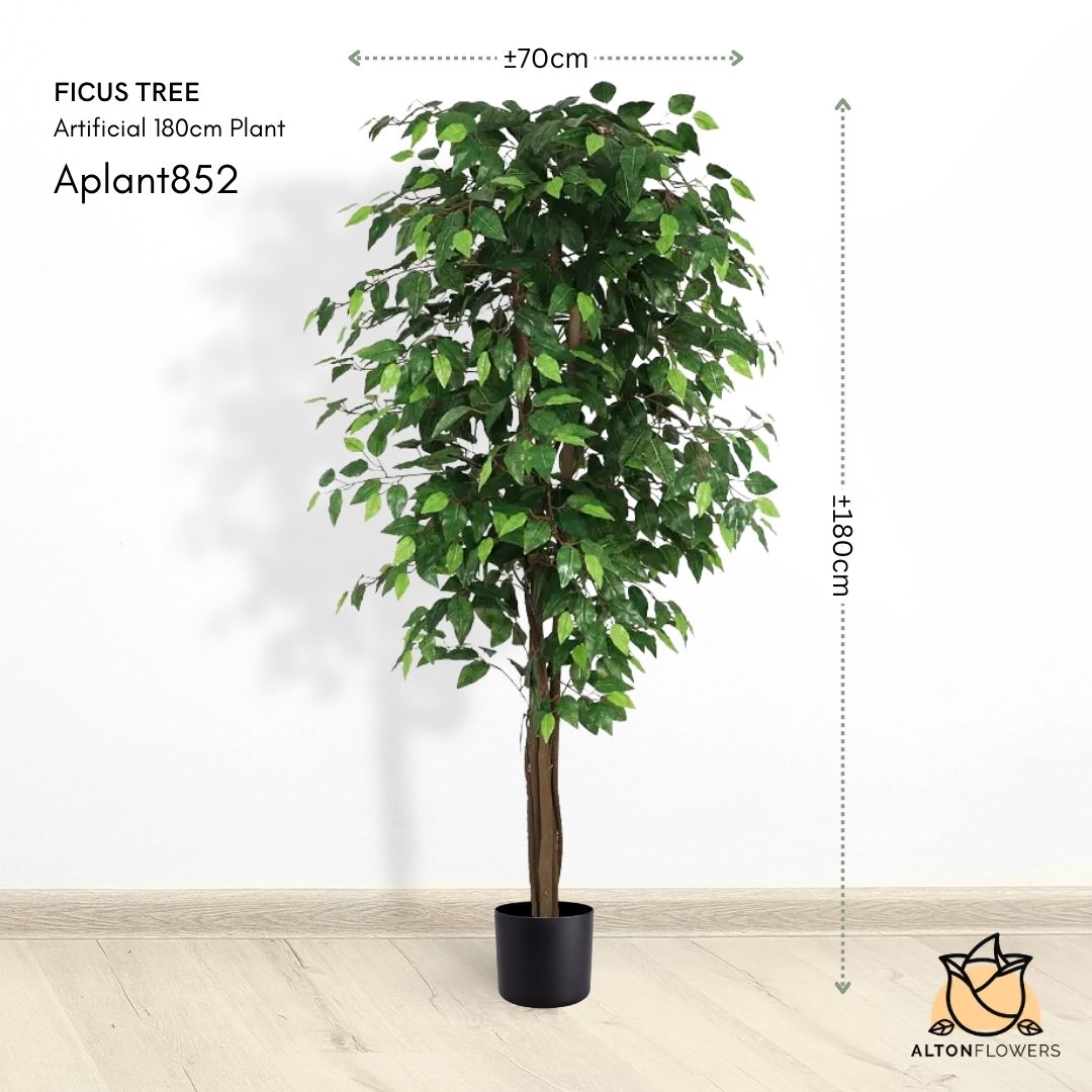 Aplant852 mea