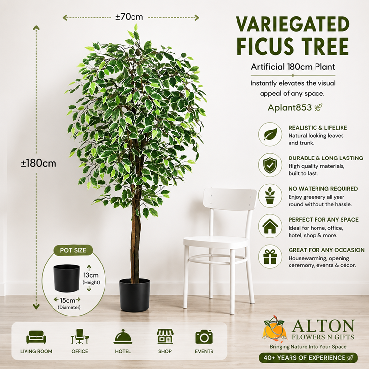 180cm Plant Artificial Variegated Ficus Tree faux plant, home decor, garden, events