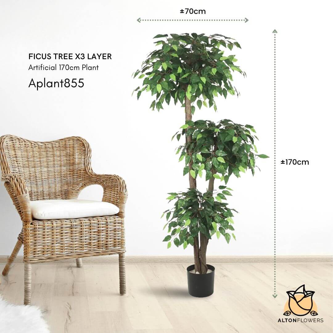 170cm Artficial Plant Variegated Ficus x3 layer, faux plant, home decor, events