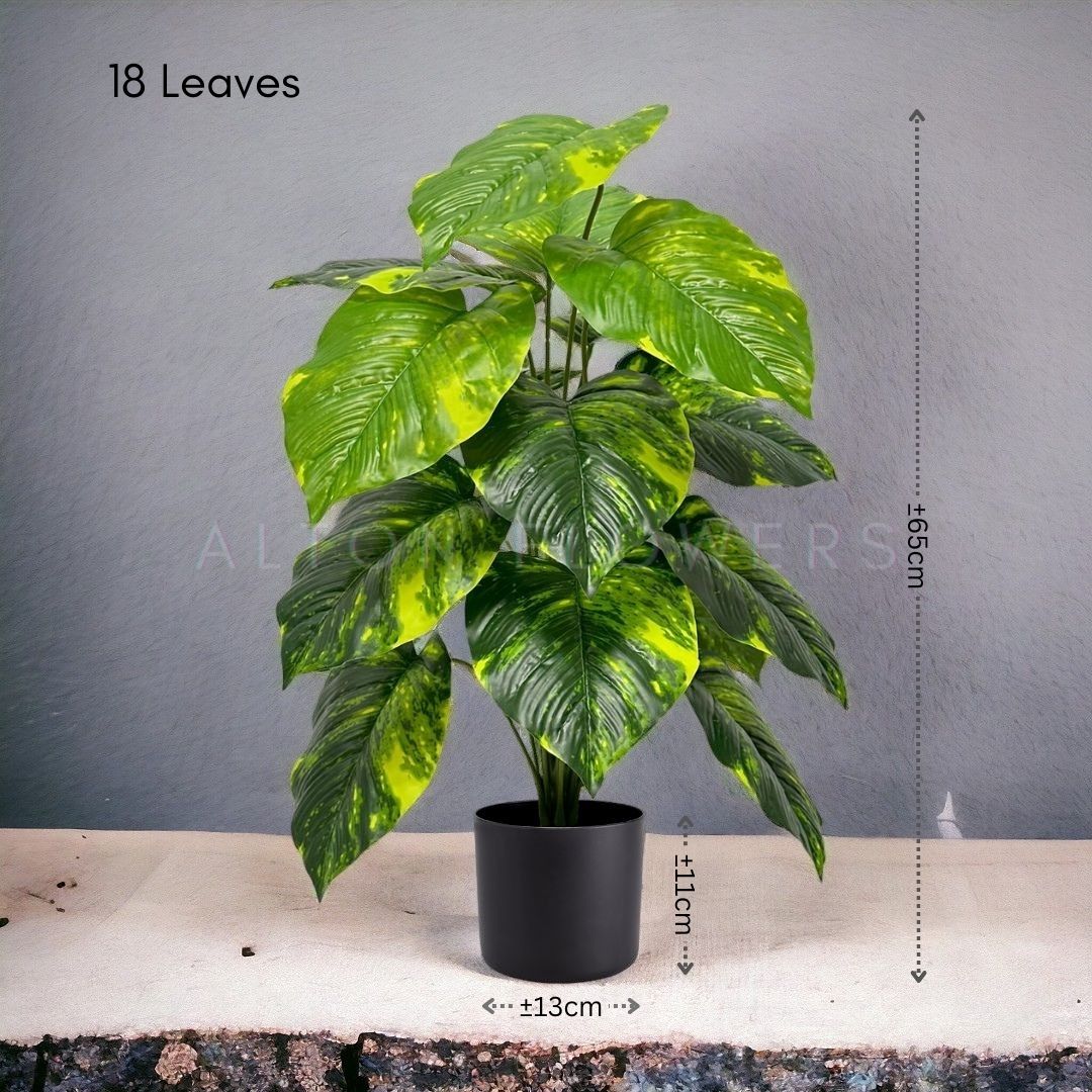 65cm Artificial Money Plant 65cm  fake, home decor, office, garden, events Aplant871