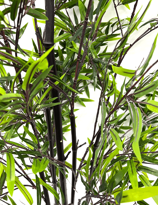 210cm {SG SELLER] Artificial Zen Styled Purple Bamboo Potted Plants with Pot Faux Fake Bamboo, home decor, garden, events