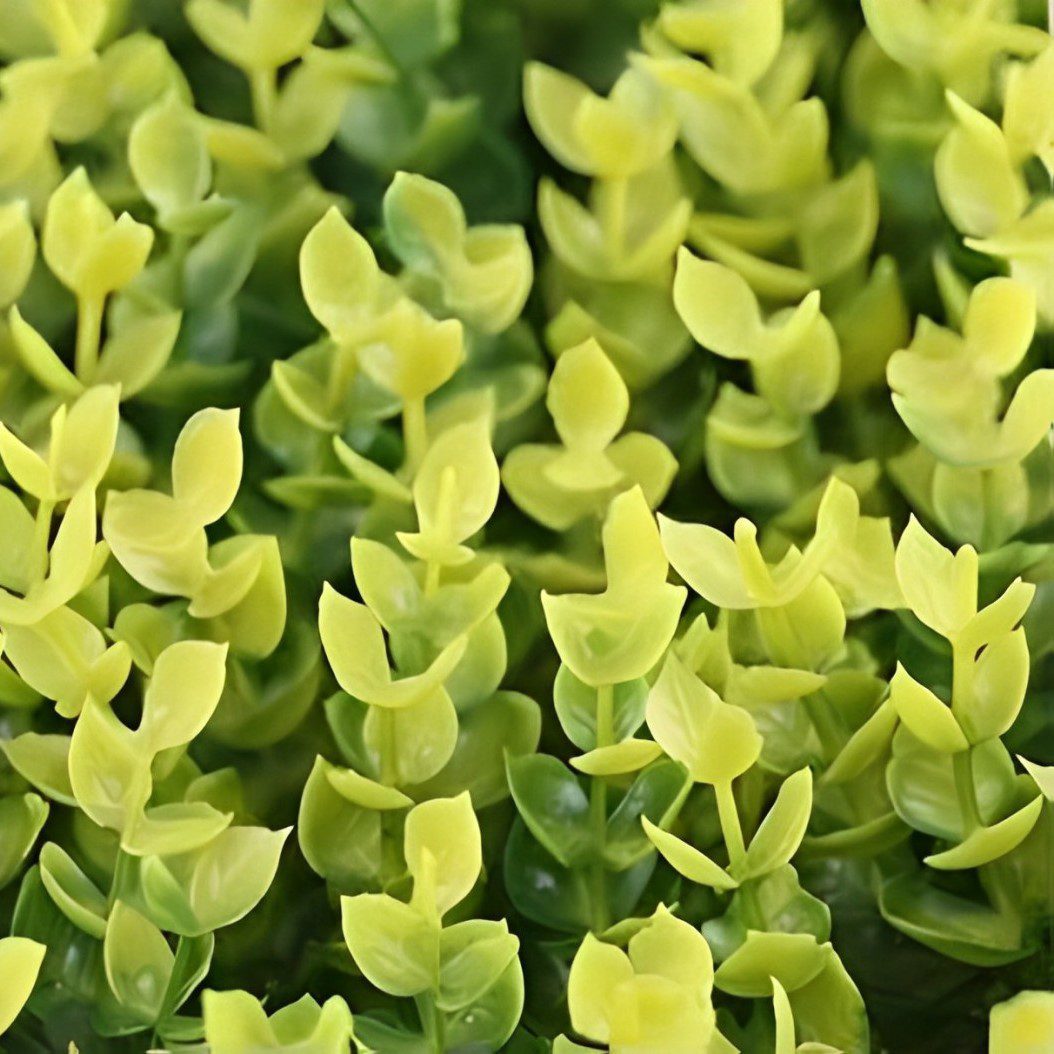 Artificial Greenery Panel Yellow Eucalyptus Wall Carpet Grass Plant Wall Backdrop Hanging Scenery Aplant914